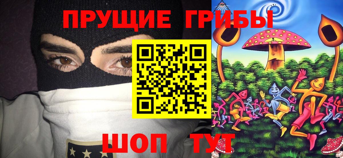 Псилоцибиновые грибы Magic Shrooms  Вход с VPN  что такое наркотик  Кингисепп 